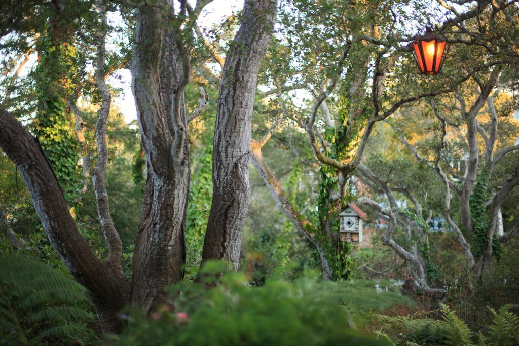 Old Monterey Inn Exterior foto